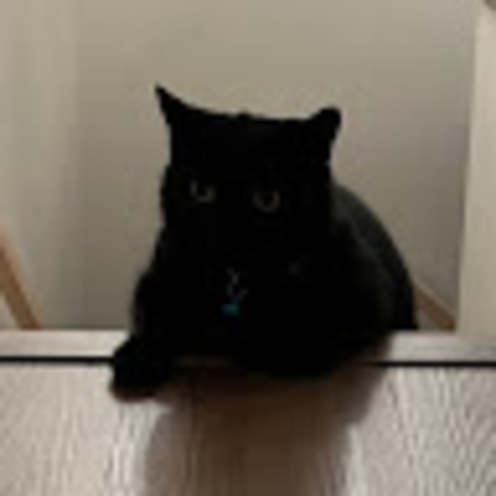 Meet your Posher, Grace